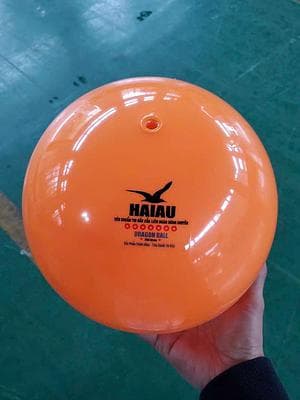 Bóng Hải Âu 200G