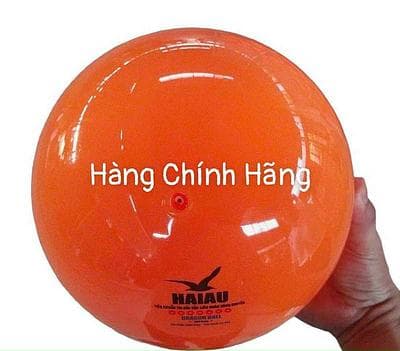 Bóng Hải Âu 250G