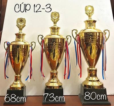 CÚP 12-3 A (80CM)