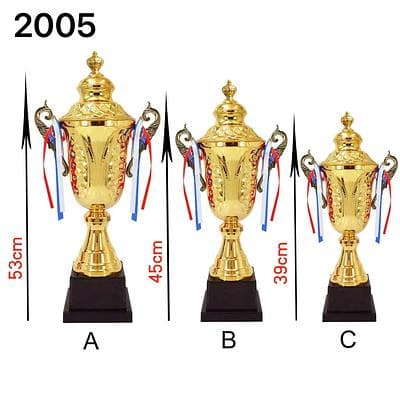 CÚP 2005A (53CM)