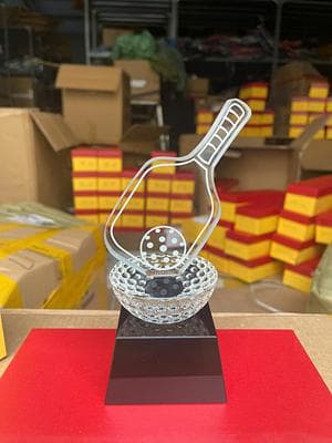 Cúp Pickleball HA-01
