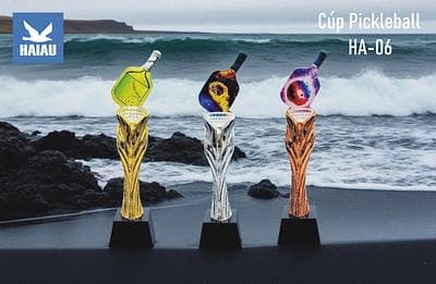 Cúp Pickleball HA-06